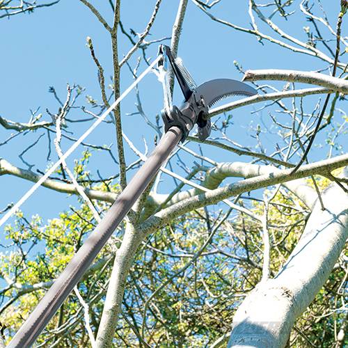 Telescopic Pruning Saw 1200mm 427627 - Image 3