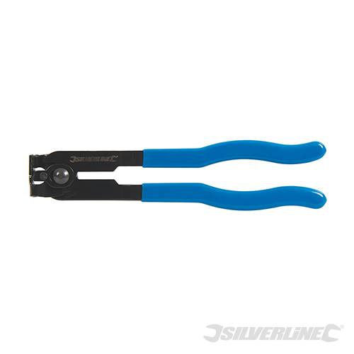 559603 - Image 2