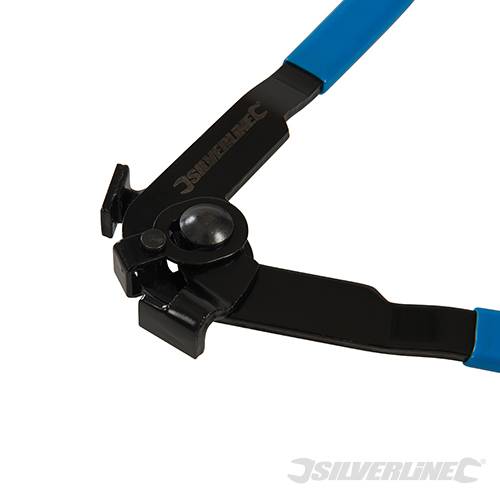 559603 - Image 3