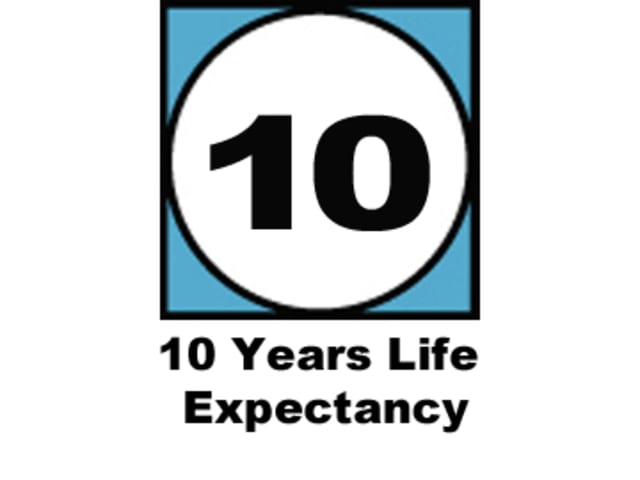 115 General Purpose Building Mastic Brown 285ml EVBMASBR - Image 4