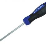 Screwdriver Star (TORX) Tip TX25 x 100mm FAISDT25