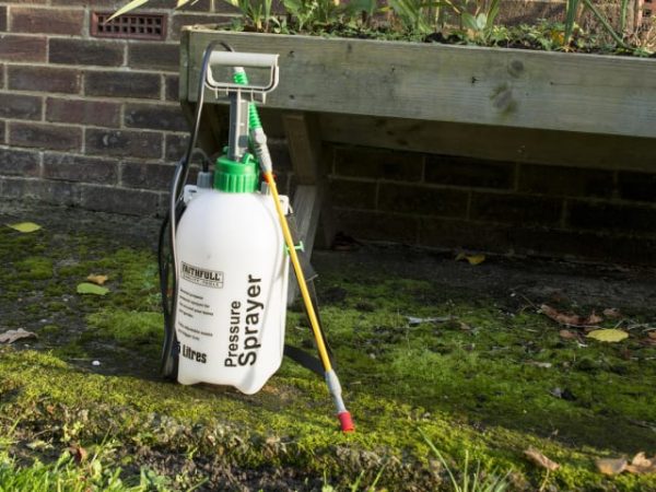 Pressure Sprayer 5 litre FAISPRAY5 - Image 2
