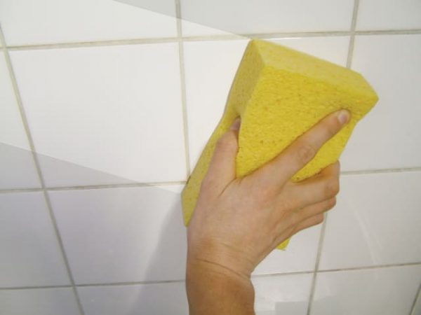 Cellulose Sponge FAITLSPONGE - Image 2