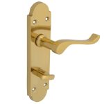 Backplate Handle Bathroom - Gable Brass Finish FGEHBATGABBR