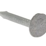 Clout Nail Extra Large Head Galvanised 30mm (2.5kg Bag) FORELH30GB21