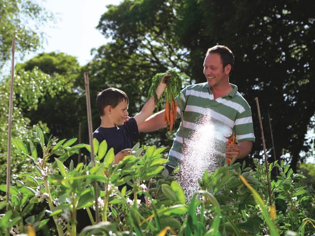 2684 Multi Spray Gun Plus HOZ2684 - Image 2