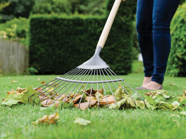 Carbon Steel Long Handled Lawn & Leaf Rake - FSC® K/S70100262 - Image 2