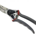 Rose 'Cut & Hold' Secateurs K/S70100466