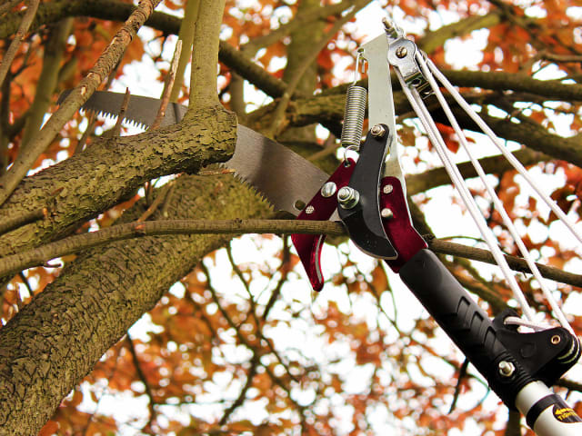 Telescopic Tree Pruner 3m K/S70100496 - Image 2
