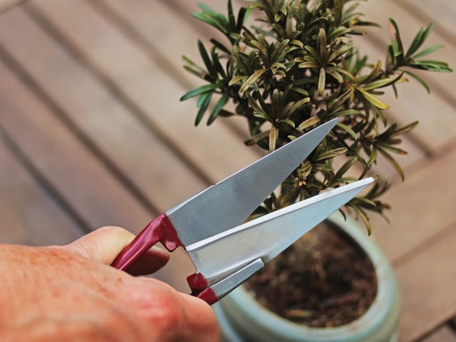 Mini Snips K/S70100498 - Image 2