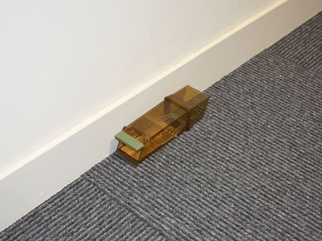 Trip-Trap Humane Mouse Trap (Counter Display 6 Loose) PRCPSTT - Image 2