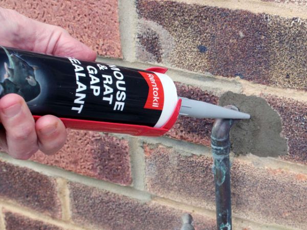 Mouse & Rat Gap Sealant RKLFMS01 - Image 3