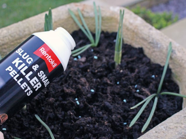 Slug & Snail Killer Pellets RKLPSS120 - Image 2