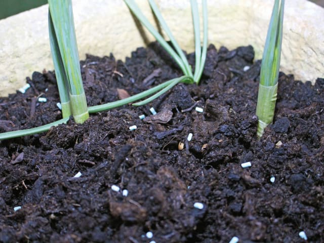 Slug & Snail Killer Pellets RKLPSS120 - Image 3