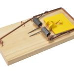 Wooden Rat Trap -  FSC® RKLPSW106