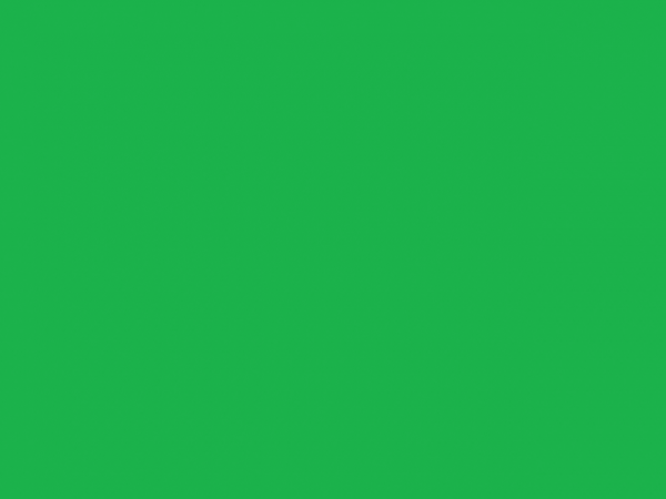 Duck Tape® 48mm x 13.7m Neon Green SHU1265018 - Image 3