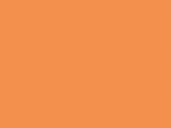 Duck Tape® 48mm x 13.7m Neon Orange SHU1265019 - Image 3