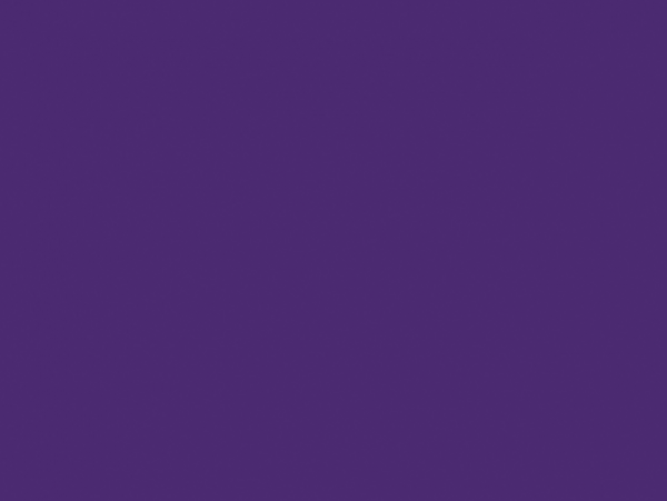 Duck Tape® 48mm x 18.2m Purple SHU283138 - Image 2