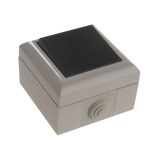 IP54 2-Way Switch 1-Gang SMJEP1G2B