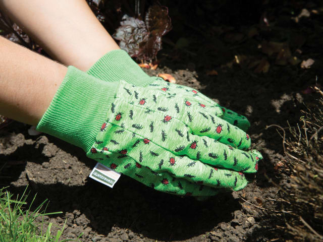 TGL216 Original Aquasure Cotton Ladies' Gloves - One Size T/CTGL216 - Image 2