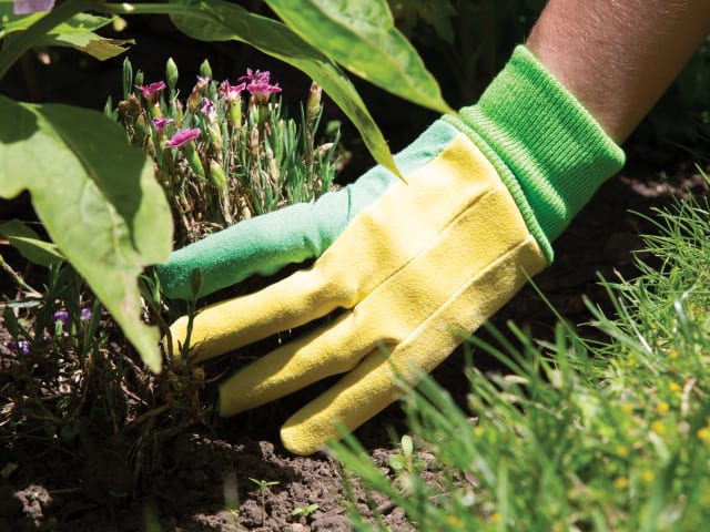 TGL403 Mens Gardener Gloves - One Size T/CTGL403 - Image 2